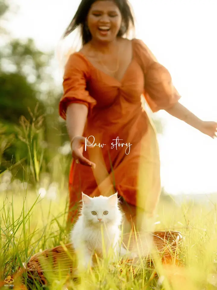 Bride-to-be walking through tall grass with a white cat at her feet